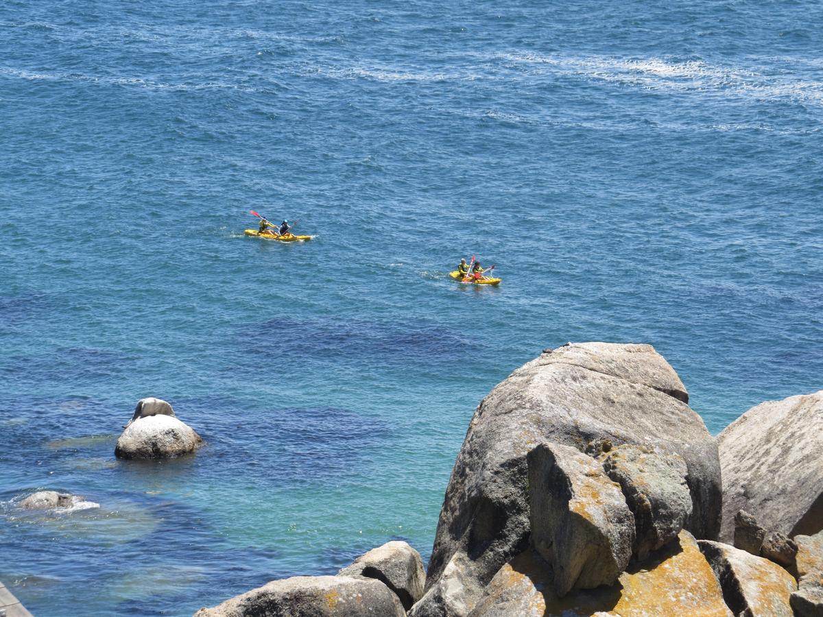 Penguins View Guesthouse Simonʼs Town Exteriér fotografie